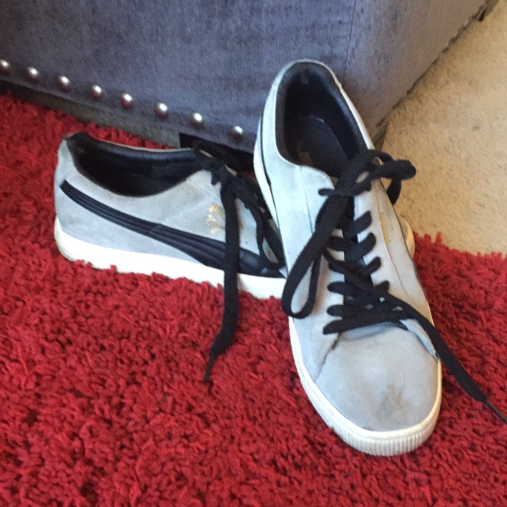 Grey and black Clyde pumas